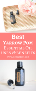 Best Yarrow Pom Essential Oil Uses and Benefits