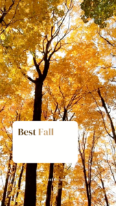 Best-27-Fall-Bucket-List-Ideas-poster